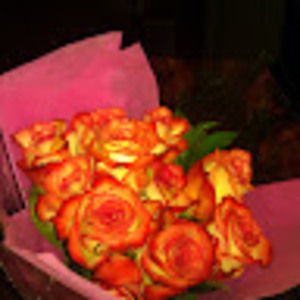 Meet your Posher, Jen